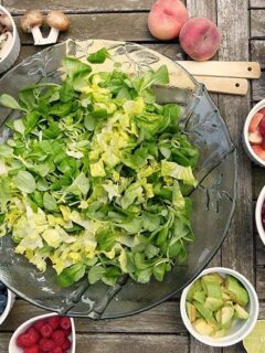 野菜の写真