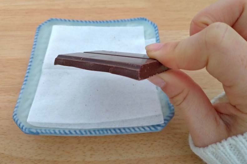 ローシクのヴィーガンチョコレートを手に持っている写真