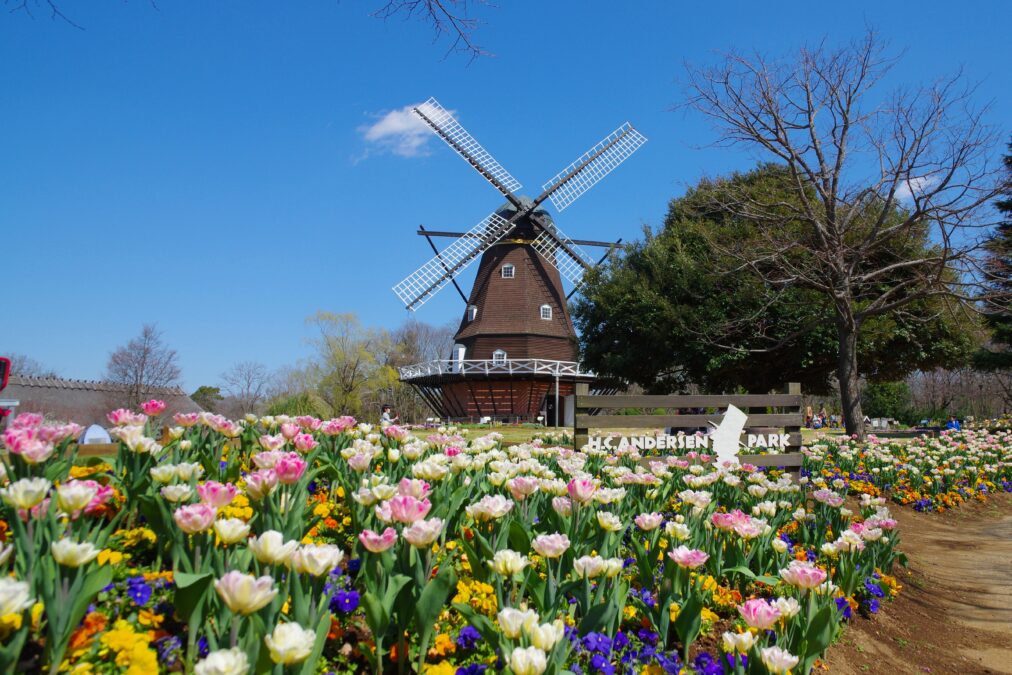 ふなばしアンデルセン公園の花畑と風車の写真