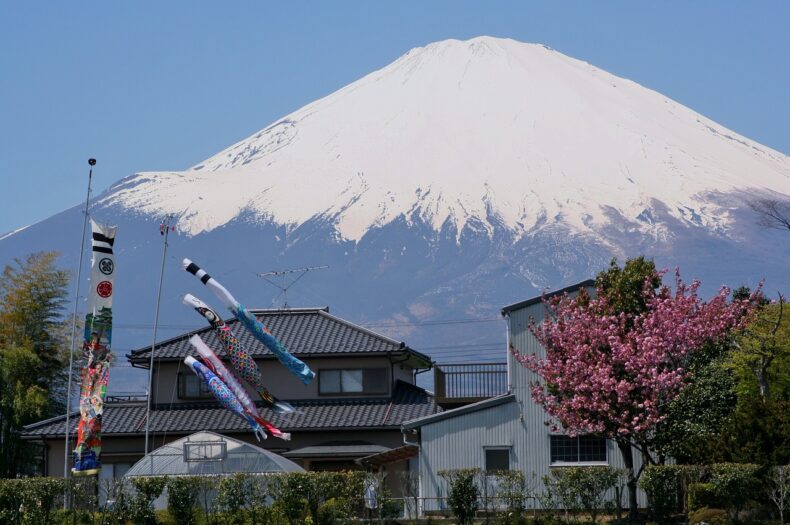 富士山とこいのぼりの写真