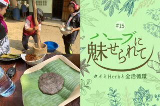 Nature Future Café 新ランチメニューお披露目に向けて ～アカ族の文化と日本の文化～のタイトル画像