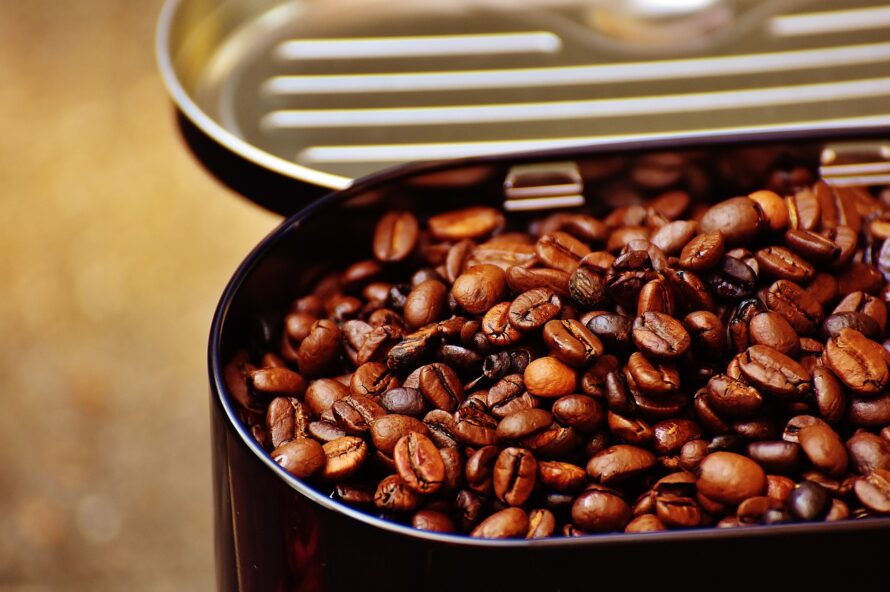 アラビカ種のコーヒー豆のイメージ画像